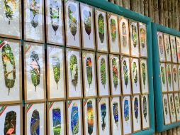 Dentro del parque Xcaret en Quintana Roo, se pueden adquirir plumas pintadas a mano por artesanos. GENTE BIEN JALISCO/ MAITÉ RUIZ VELASCO