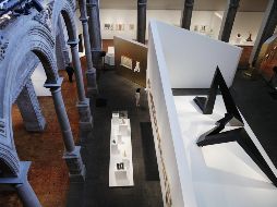 Exposición en el Palacio de Cultura Banamex, antiguo Palacio de Iturbide, ejemplo del estilo barroco y propiedad de Citibanamex. EFE/Archivo