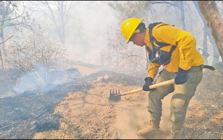 En el municipio zapopano el fuego se reporta cerca del Bosque Nixticuil. ESPECIAL