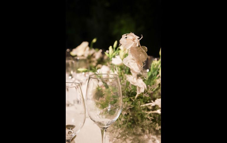 Aspecto. GENTE BIEN JALISCO/Antonio Martínez