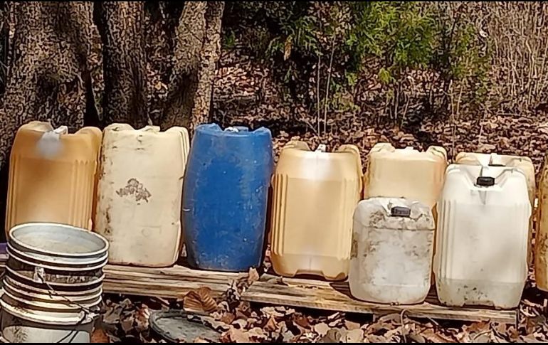 ESPECIAL / Seguridad Jalisco