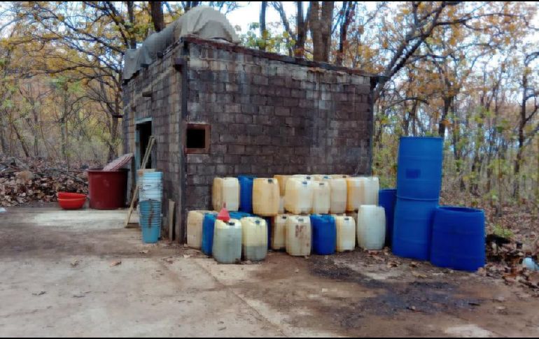 ESPECIAL / Seguridad Jalisco