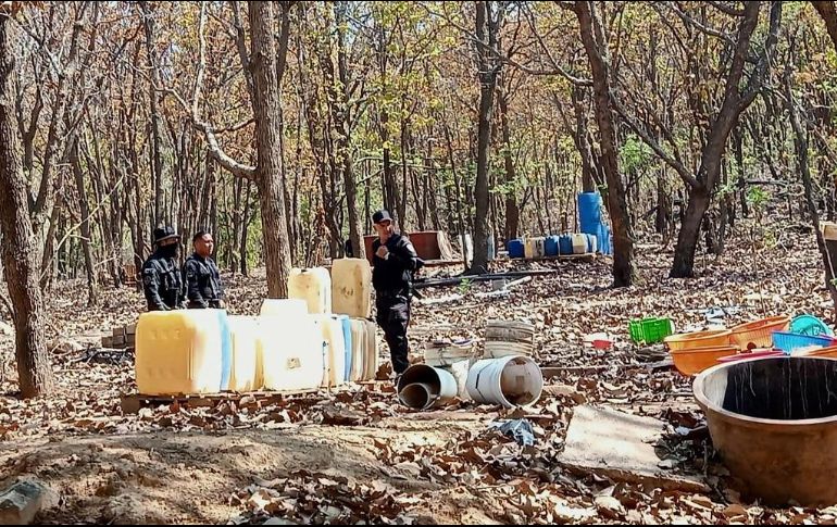 ESPECIAL / Seguridad Jalisco