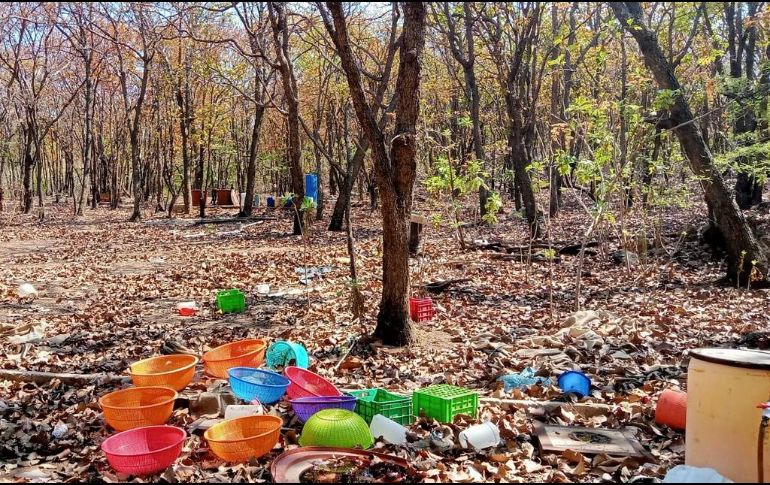 ESPECIAL / Seguridad Jalisco