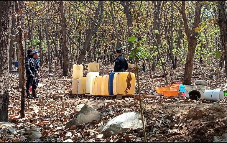 ESPECIAL / Seguridad Jalisco