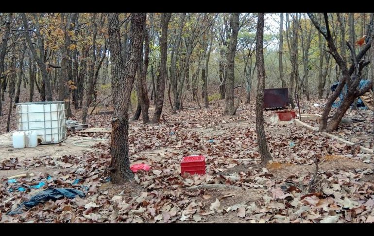 ESPECIAL / Seguridad Jalisco