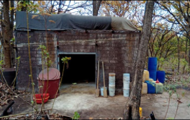 ESPECIAL / Seguridad Jalisco