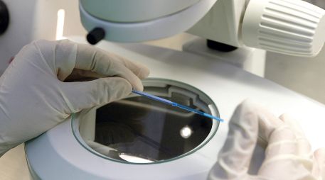 Para hacer la investigación, los científicos de Eugin de Barcelona analizaron más de 5 mil ciclos de fecundación in vitro en pacientes que emplearon óvulos de donante previamente vitrificados. EL INFORMADOR / ARCHIVO