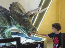 Museo del Meteorito. Algunas figuras de dinosaurios se pueden tocar para apreciar su textura. EFE/L. Hernández