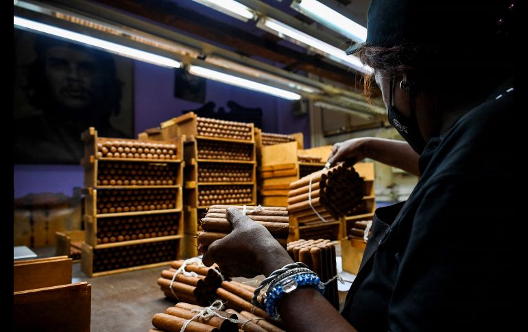 En las instalaciones de El Laguito nació Cohiba, la marca más exquisita del tabaco cubano. AFP/Y. Lage