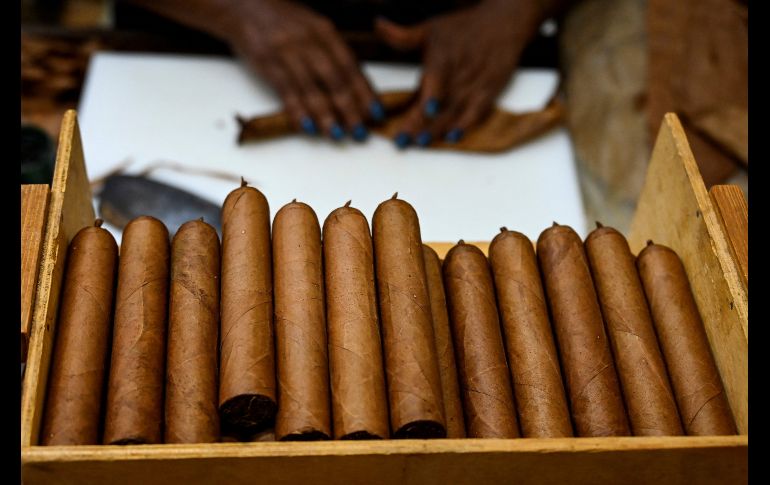 En las instalaciones de El Laguito nació Cohiba, la marca más exquisita del tabaco cubano. AFP/Y. Lage