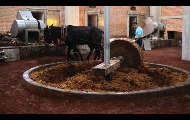 Casa Siete Leguas. INFORMADOR/Arturo Navarro Vázquez.