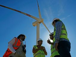 En la ciudad de El Cairo promueven la energía eólica como medida ambiental. AP