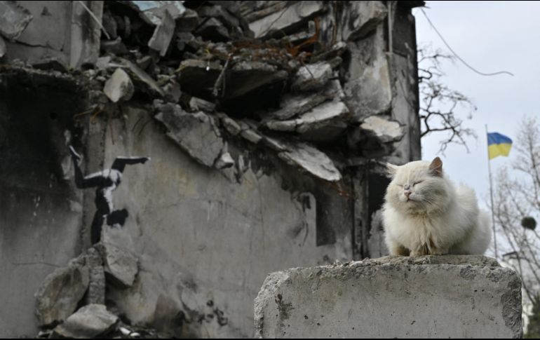 Varios murales al estilo de Banksy han aparecido en Kiev, la capital ucraniana, y sus alrededores, lo que ha llevado a los ucranianos a pensar que el artista callejero anónimo podría estar en el país. AFP / G. Savilov