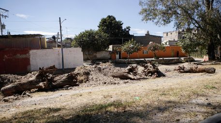 La tala de árboles fue en las laterales de Periférico entre Mariano Otero y López Mateos. EL INFORMADOR/ CARLOS ZEPEDA