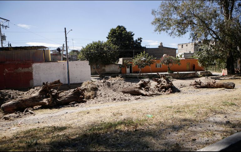 La tala de árboles fue en las laterales de Periférico entre Mariano Otero y López Mateos. EL INFORMADOR/ CARLOS ZEPEDA