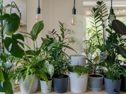 ESPECIAL / Foto de vadim kaipov en Unsplash