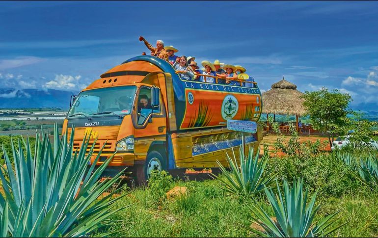 La Ruta del Tequila abarca una superficie de tres mil 029 kilómetros cuadrados. CORTESÍA
