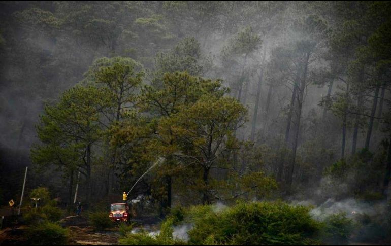 Al hombre se le imputa el delito de ecocidio. ESPECIAL/ Gobierno de Jalisco