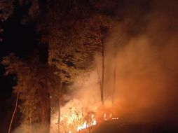 En el incendio forestal en el municipio de Concepción de Buenos Aires hay 70 brigadistas. ESPECIAL