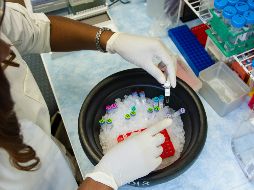 Se trata de un método experimental sólido para investigar características críticas específicas, según sus autores. ESPECIAL/ Unsplash