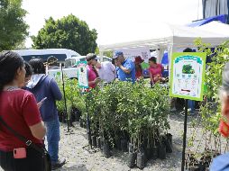 Bosque Urbano de Extra A.C. trabaja en convertir a Guadalajara en la ciudad más arbolada del país. EL INFORMADOR/Archivo