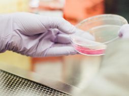 La investigación por fin revela un aspecto clave para entender el proceso que hace al cólera potencialmente letal. ESPECIAL/ Unsplash