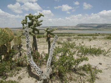 El nombre del municipio de los Altos Norte deriva de la abundancia de ojos de agua en el lugar. EL INFORMADOR / ARCHIVO