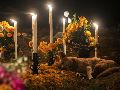 México celebra el 1 y 2 de noviembre a Todos lo Santos y a los Fieles Difuntos. AFP / ARCHIVO