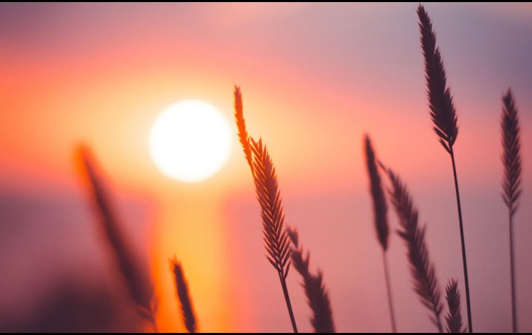 El solsticio de invierno es un fenómeno astronómico que se presenta debido a la inclinación del eje terrestre, la cual es de aproximadamente 23.5 grados. UNSPLASH / A. Savchenko