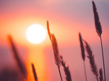 El solsticio de invierno es un fenómeno astronómico que se presenta debido a la inclinación del eje terrestre, la cual es de aproximadamente 23.5 grados. UNSPLASH / A. Savchenko