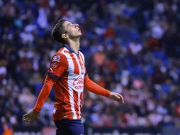 El equipo de las Chivas quedó eliminado de la Liguilla. /IMAGO7