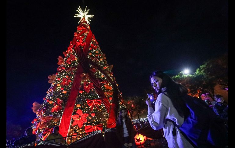 Adornado con cintas rojas y nochebuenas, el árbol fue iluminado con la catedral de fondo, seguido de un espectáculo de fuegos artificiales de todos colores, que chicos y grandes captaron con sus teléfonos celulares. EL INFORMADOR/ H. FIGUEROA