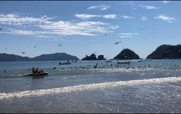 Las autoridades estatales decidieron anular la bandera morada colocada en las playas de Melaque y Barra de Navidad tras descartar riesgos a la población. ESPECIAL / Gobierno de Jalisco