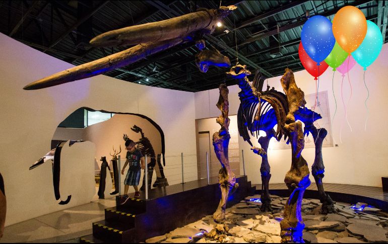 El Muse de Paleontología de Guadalajara está de fiesta. El pasado 14 de febrero cumplió 24 años. EL INFORMADOR / ARCHIVO