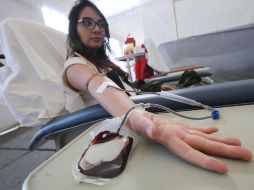 Donadores de sangre podrán agendar su cita para que los atiendan sin contratiempos. EL INFORMADOR/Archivo