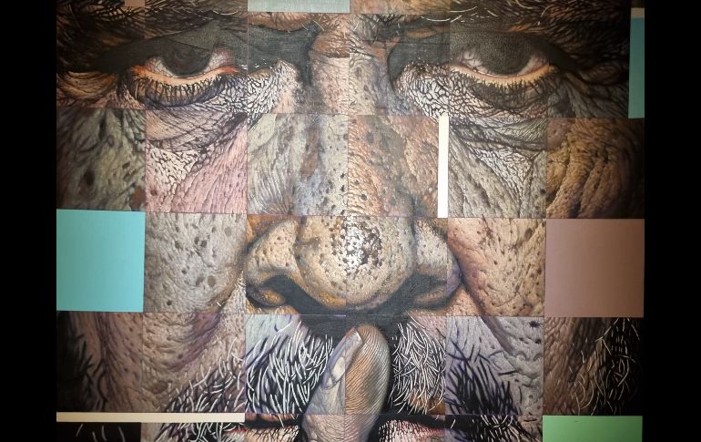 En estos cuadros de gran formato, la piel, sus rasgos, sus expresiones y características, son las protagonistas. EL INFORMADOR/K. ESPARZA