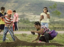 Bosque Urbano de Extra busca mejoras en el medio ambiente a través de actividades, como la entrega de árboles en adopción y jornadas de reforestación en espacios públicos. EL INFORMADOR