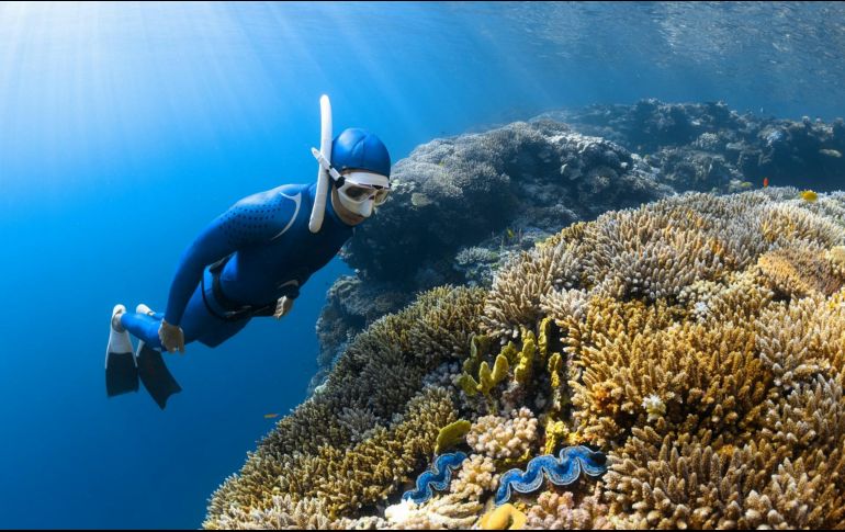 Algunas playas son ideales para realizar snorkel. Unsplash