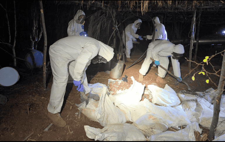 La Marina destruyó de ocho laboratorios clandestinos con más de seis toneladas de metanfetaminas.  EFE/Semar