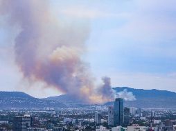 Según bomberos de Zapopan, el área afectada fue un total de 60 hectáreas de forma preliminar. EL INFORMADOR / A. Navarro