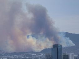 Los bosques de Jalisco son los más afectados por incendios a nivel nacional. EL INFORMADOR / ARCHIVO