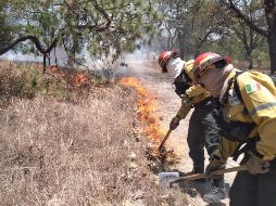 En el combate también están las brigadas del propio bosque y de la CFE, apoyadas con el helicóptero Witari de la dependencia estatal. ESPECIAL / X / @ReporteForestal