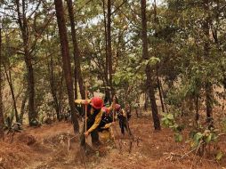 El fuego quedó extinto luego de más de 144 horas. ESPECIAL/ Semadet