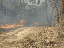 El Gobierno del Estado informó que en el incendio involucró a ambos municipios Tlajomulco y Zapopan. X/@ReporteForestal