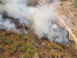 El fuego fue controlado por la noche según la SEMADET a las 21:00 horas de la noche, sin embargo, las labores de enfriamiento de la zona continuaron por varias horas. ESPECIAL