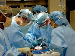 La respuesta a eta investigación sería digna ganadora de un Premio Nobel. UNSPLASH / NATIONAL CANCER INSTITUTE