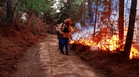 Bomberos permanecen realizando labores de enfriamiento y extinción. ESPECIAL