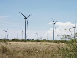 Mexicanos piden que Gobierno saque provecho de las energías alternativas. ESPECIAL