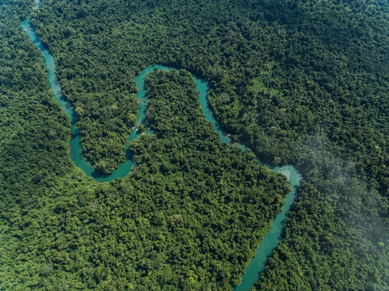 Selva Lacandona. GETTY IMAGES ISTOCK